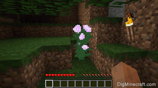 How to make a Peony in Minecraft