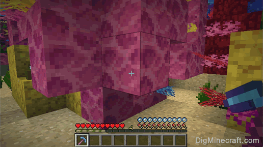 brain coral block with pickaxe