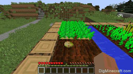 How to make a Poisonous Potato in Minecraft