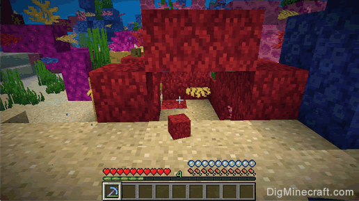 fire coral block dropped