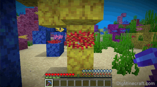 fire coral fan with pickaxe