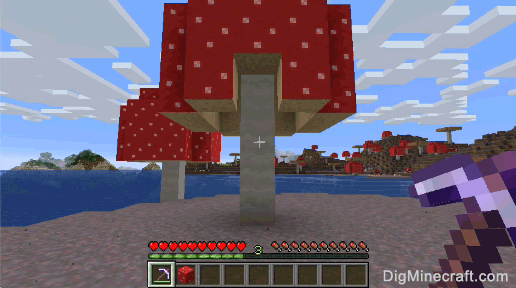 red mushroom block gathered