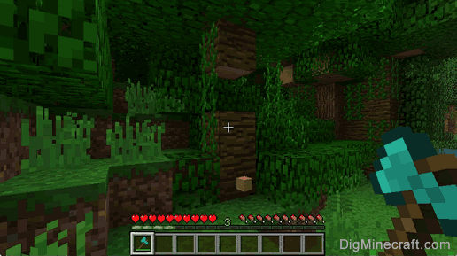 stripped jungle log dropped