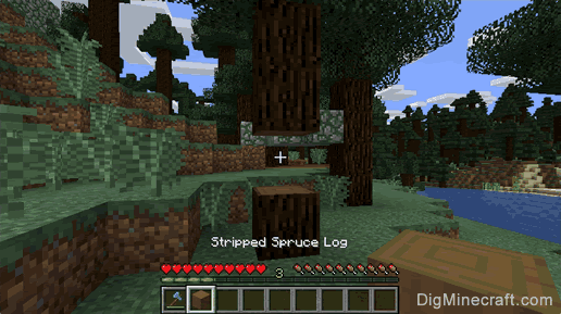 stripped spruce log gathered