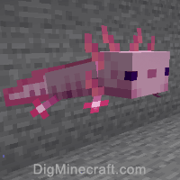 How To Summon An Axolotl In Minecraft