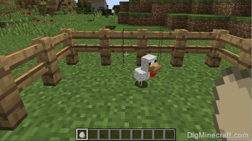 How To Grow A Chicken From Egg In Minecraft.