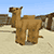 camel seeds for java edition (pc/mac)