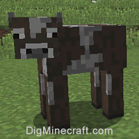 Can You Ride A Cow In Minecraft Cow In Minecraft