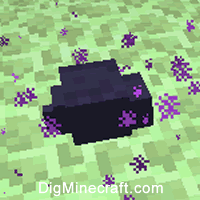 Endermite Minecraft Real Life