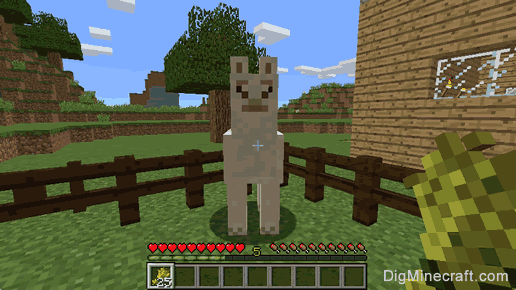 Can You Ride Llamas In Minecraft Ps4 How To Tame And Ride A Llama In Minecraft