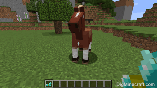 horse and horse armor