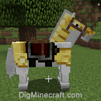 horse wearing gold armor
