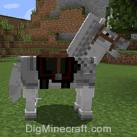 horse wearing iron armor