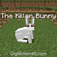 killer rabbit