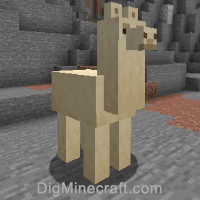 What Do You Feed Llamas In Minecraft
