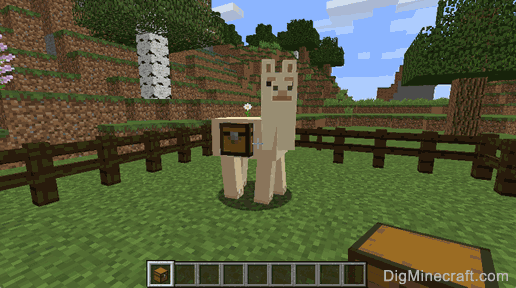 Can You Ride Llamas In Minecraft Ps4 How To Put A Chest On A Llama In Minecraft