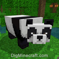 Panda face seeds