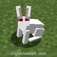 rabbit type 99