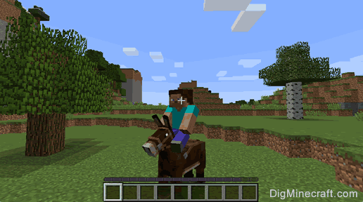 riding mule