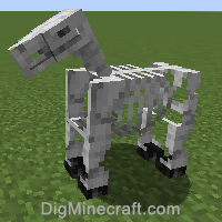 Skeleton Horse In Minecraft