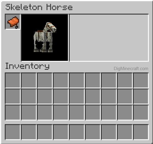 saddle equipped on skeleton horse