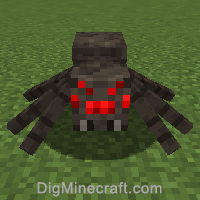 örümcek