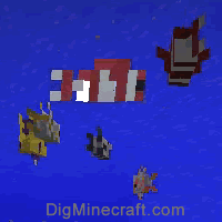 Tropical Fish In Minecraft