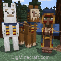 Can You Ride Llamas In Minecraft Ps4 Wandering Trader In Minecraft