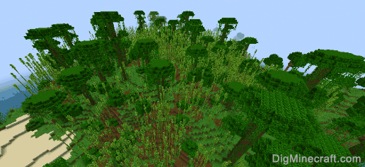 seed for sparse jungle
