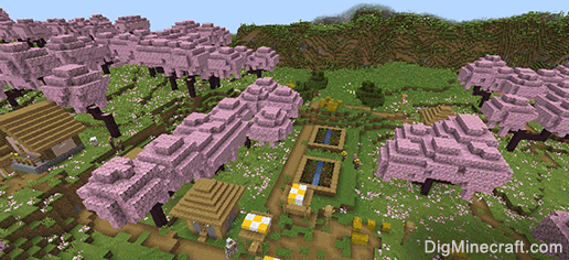 seed for village