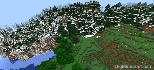 seed for wooded hills