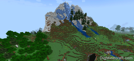 seed for wooded hills