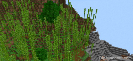 seed for bamboo jungle