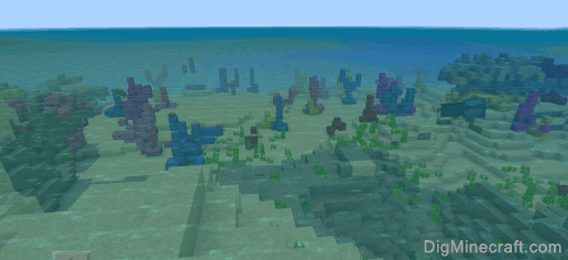 seed for coral reef
