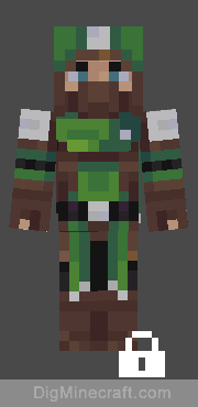 asher the rogue in heroes and legends skin pack