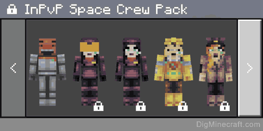 inpvp space crew skin pack