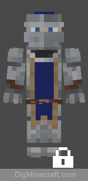 silver knight in kingdom of torchwall skin pack