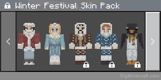 winter festival skin pack